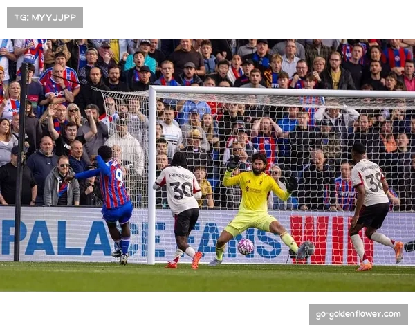 布莱顿2-3不敌利物浦 进球大战暴露防线回追速度短板