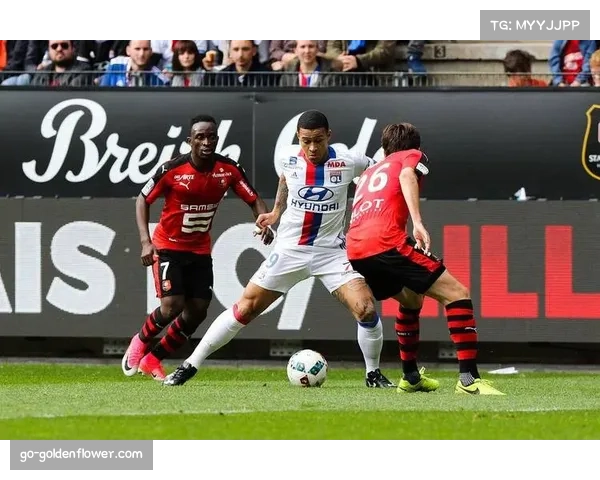 费耶诺德高位逼抢战术失稳 连续9场失球暴露防守体系漏洞